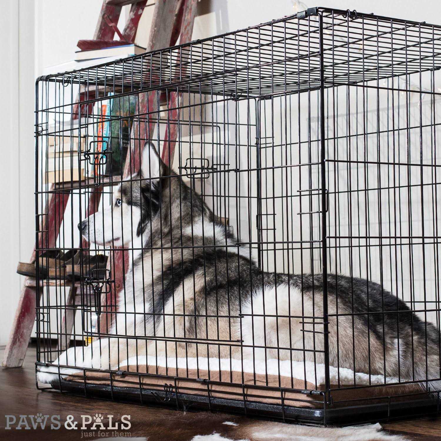 Paws Pals Double-Door Folding Wire Dog Crate - Healthber