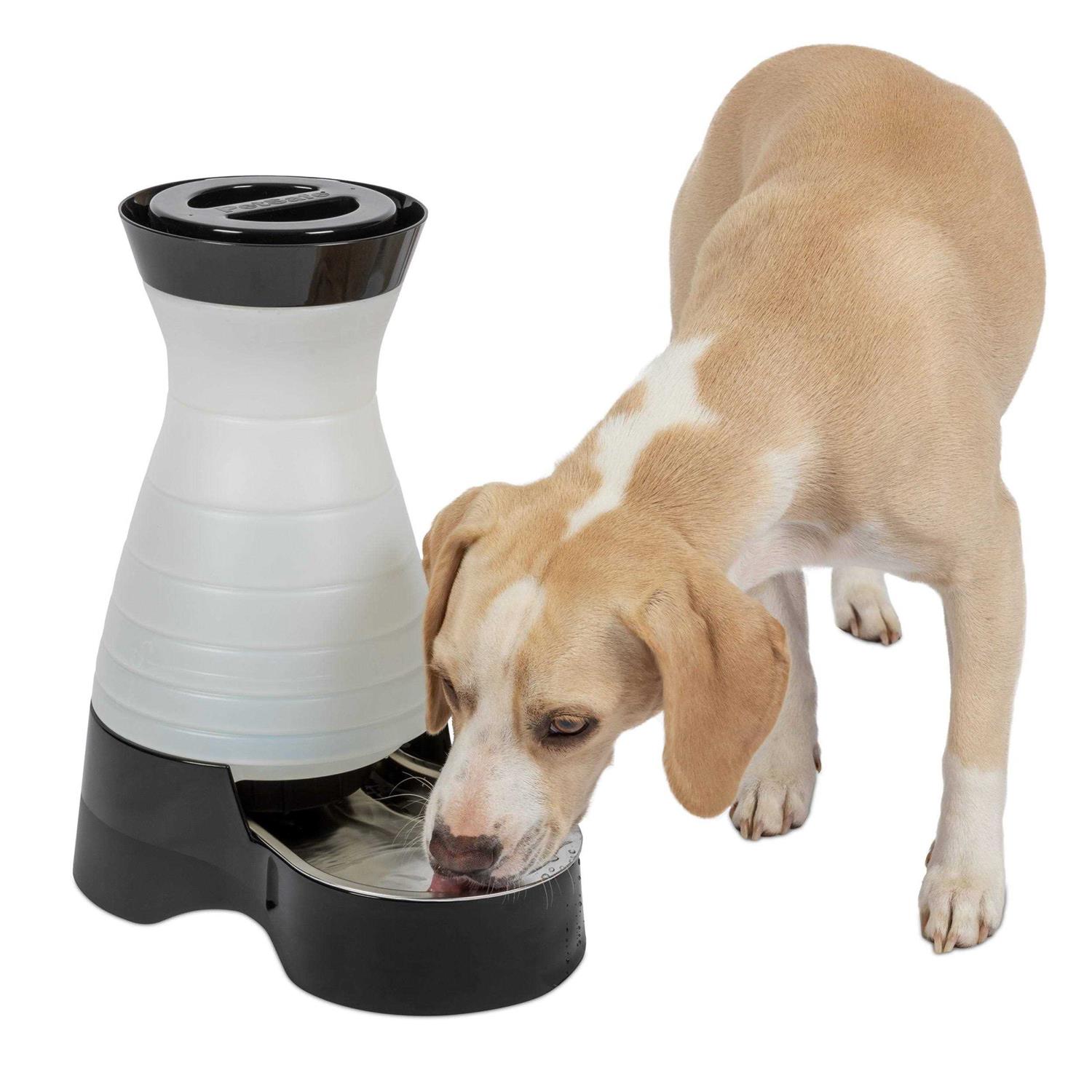 PetSafe Healthy Pet Water Station - Healthber