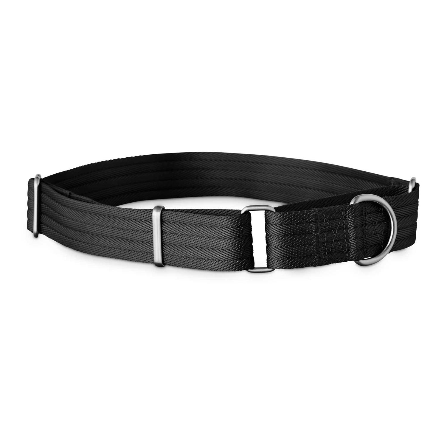 EveryYay Martingale Dog Collar - Healthber