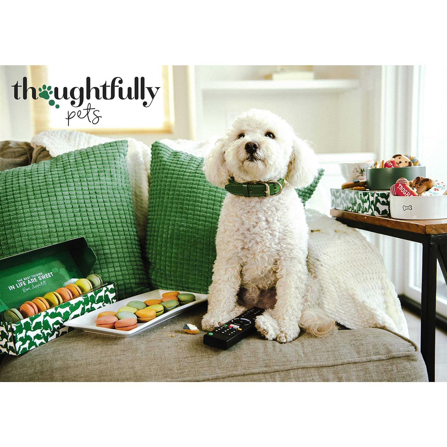 Thoughtfully Pets Dog Happy Birthday Mini Cookie Cake - Healthber