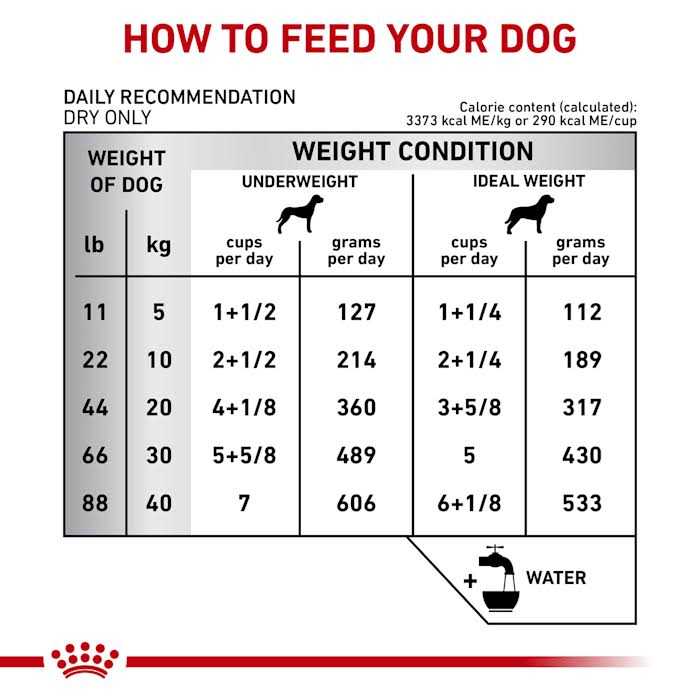 Royal Canin Veterinary Diet Gastrointestinal Fiber Response Dry Dog Food - Healthber