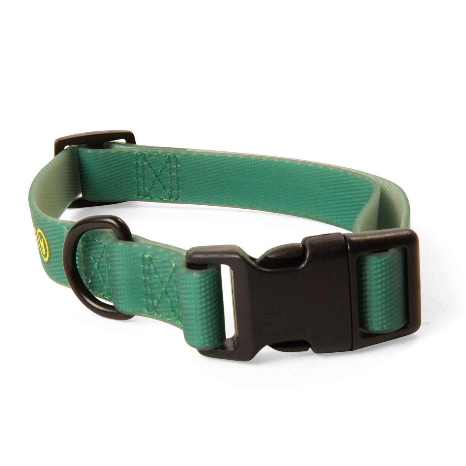 Backcountry x Petco The Dog Collar - Healthber