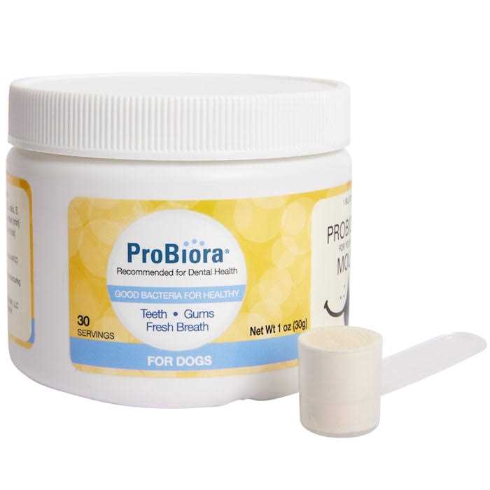 Probiora Probiotics for Your Dog’s Mouth - Healthber