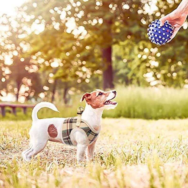 Pupteck Soft Mesh Dog Harness Puppy Padded Vest No Pull Harnesses - Healthber