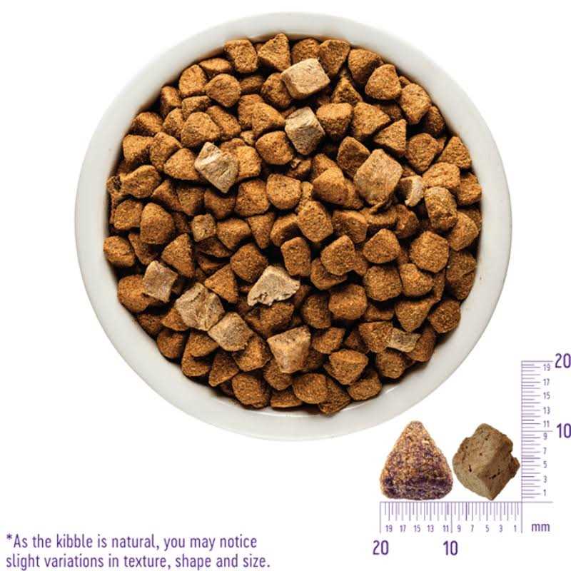 Wellness Core RawRev Natural Grain Free Wild Game Freeze Dried Dry Dog Food - Healthber