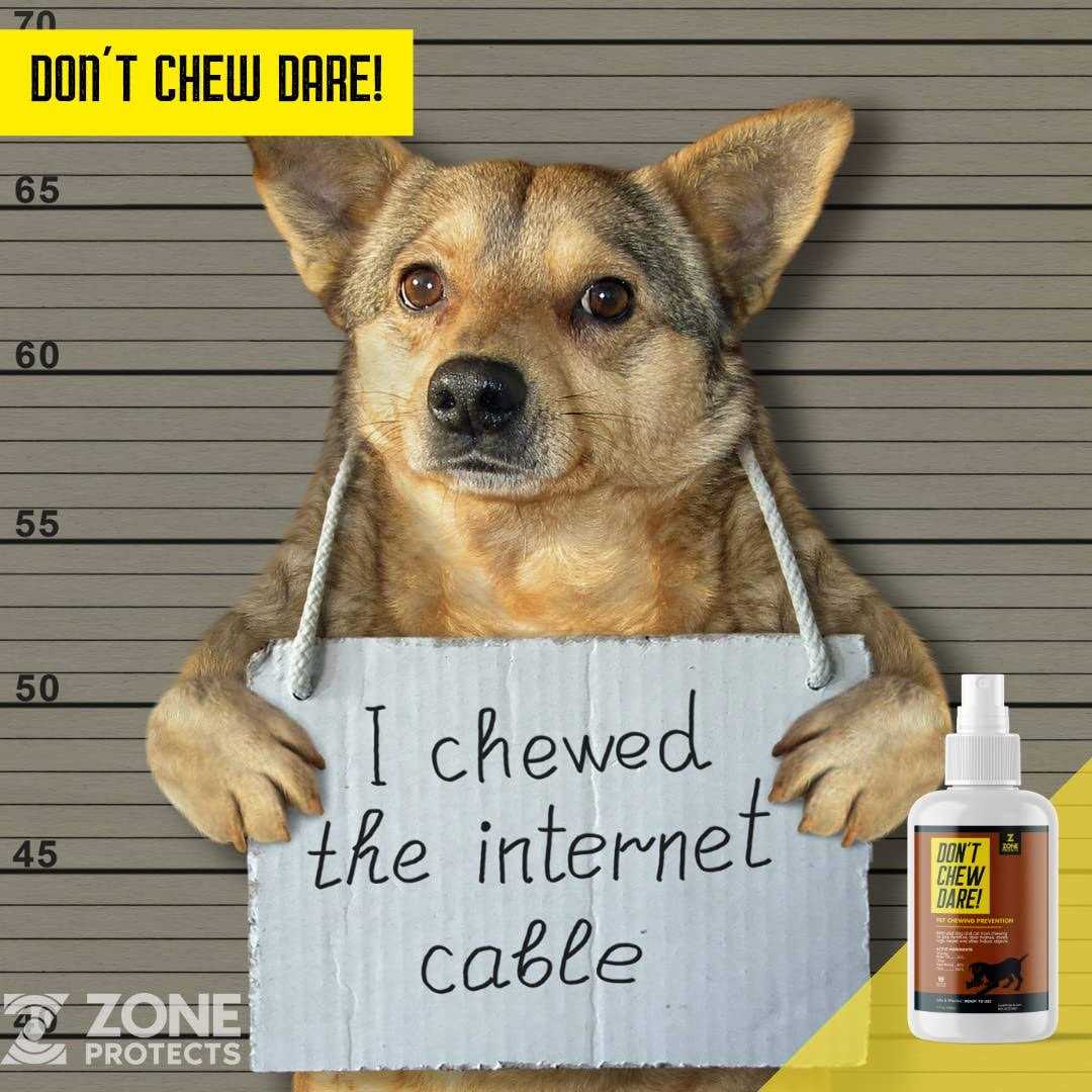 Zone Protects Don’t Chew Dare! Indoor Dog Chewing Prevention Spray - Healthber