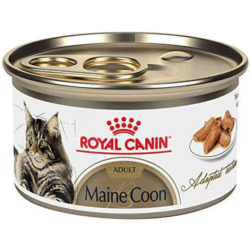 Royal Canin Feline Breed Nutrition Maine Coon Adult Thin Slices in Gravy Wet Cat Food, 3-oz can, case of 24 - Healthber