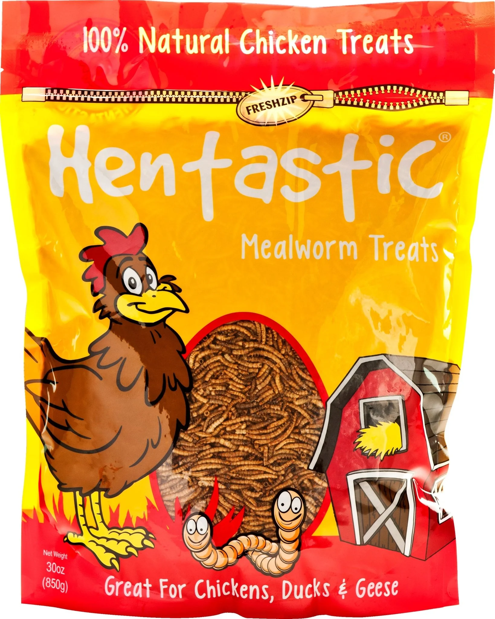 Hentastic Dried Mealworms - Healthber