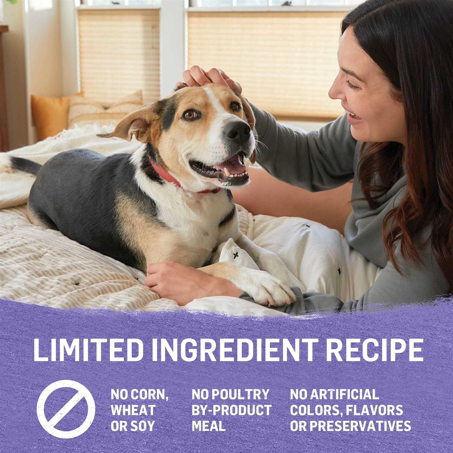 Purina Beyond Grain Free Ground Entrée Turkey & Sweet Potato Recipe Wet Dog Food - Healthber