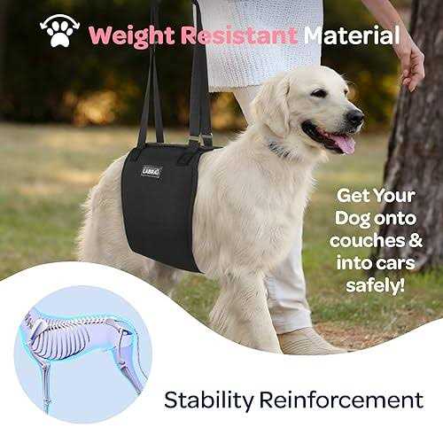 Labra Veterinarian Approved Dog Canine K9 Sling Lift Adjustable Straps Support Harness Helps with Loss of Stability Caused by Joint Injuries and - Healthber