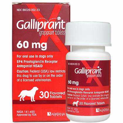 Galliprant 60 Mg Tab 30 Ct For Dogs - Healthber