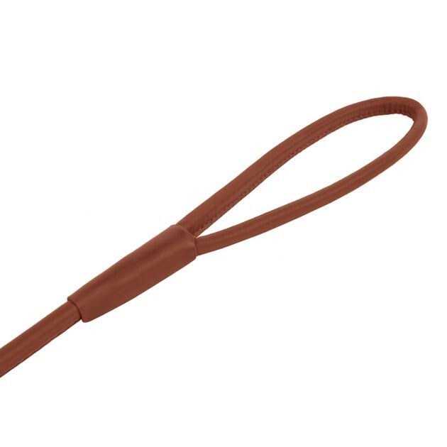 CollarDirect Rolled Leather Dog Leash 4ft Soft Padded Training Leather Dog Lead 6ft - Healthber