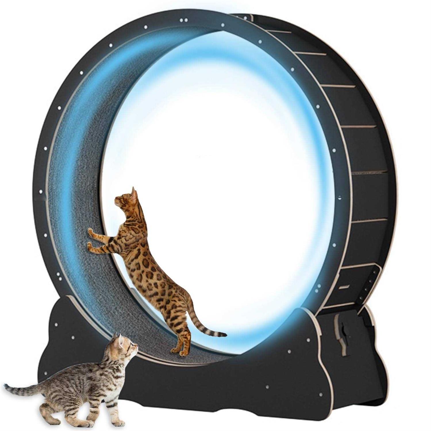 Large Cat Exercise Wheel 40 inch Solid Wood Cat Wheel Exerciser for Indoor Cats - Healthber