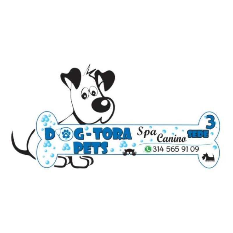 Royal Canin Puppy Loaf in Sauce Canned Dog Food - Healthber