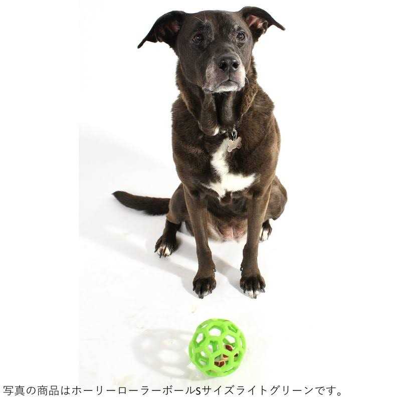 JW Hol-ee Proten Roller Dog Toy - Healthber