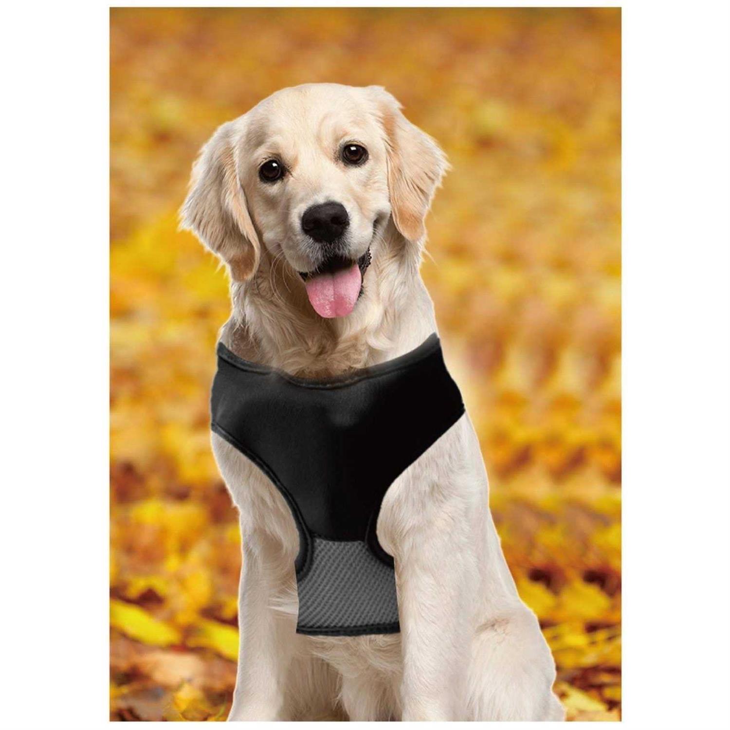 As Seen on TV Lucky Leash Magnetic Harness & Retractable Leash - Healthber