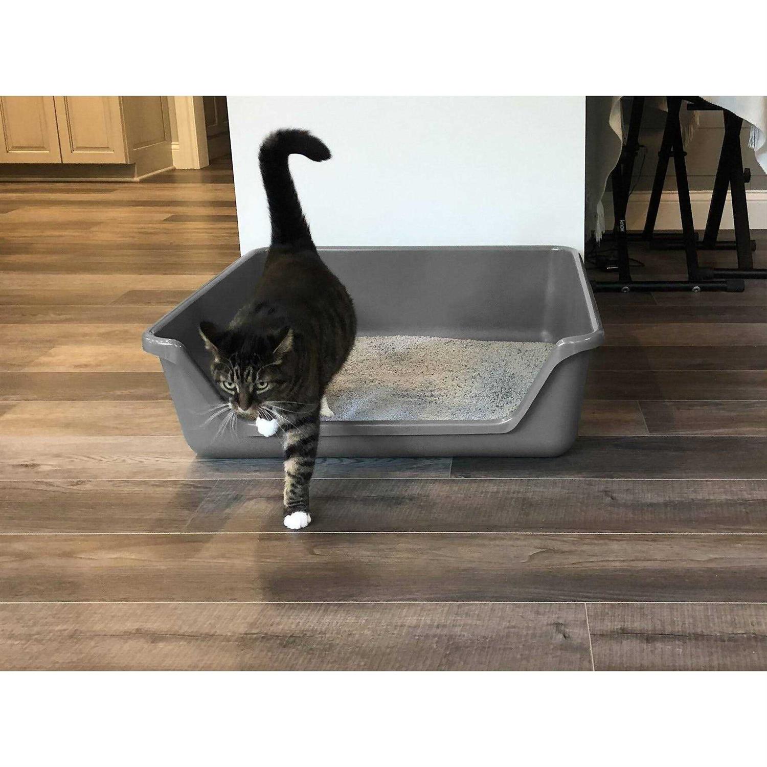 Shirley K’s Senior Cat Litter Box - Healthber