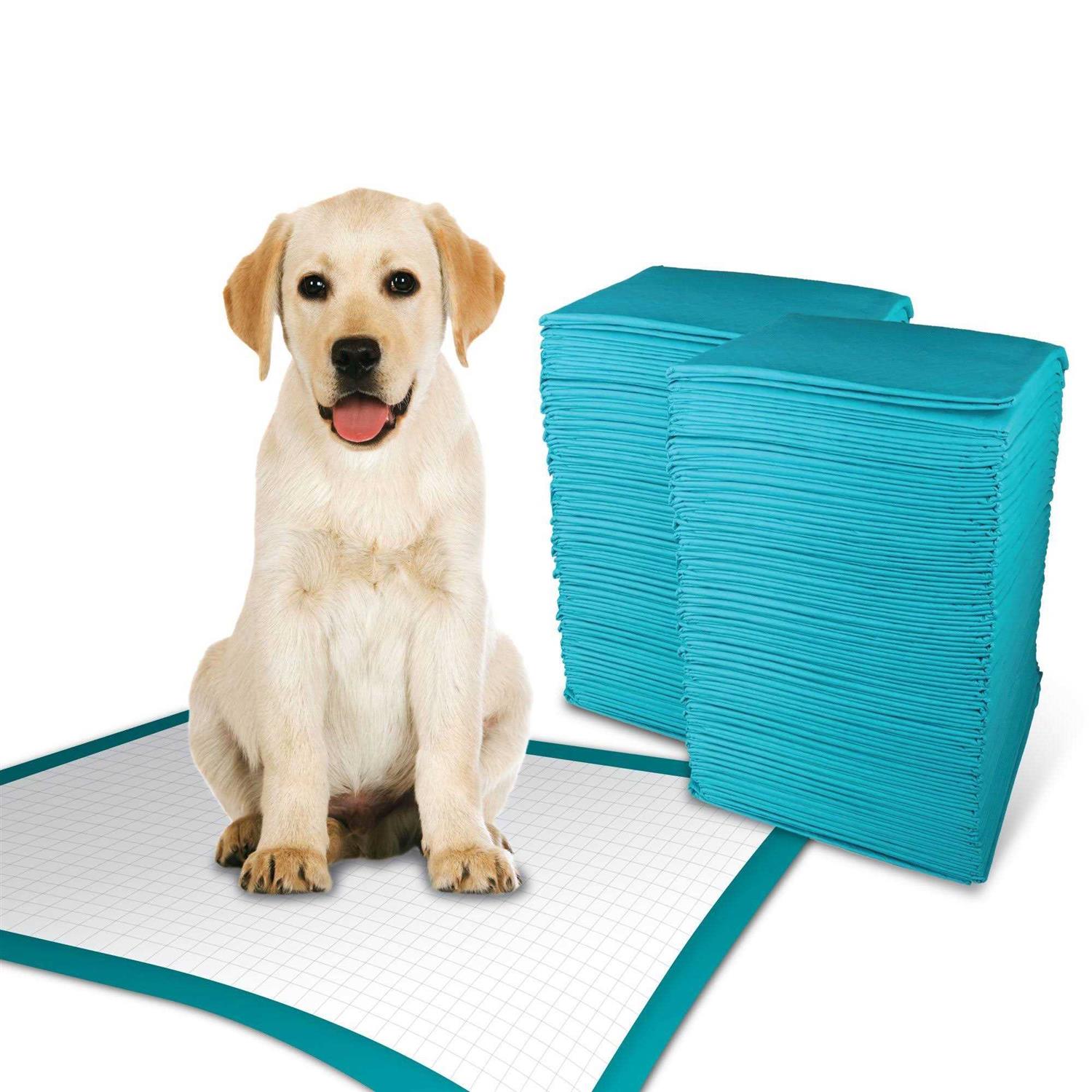 Simple Solution Extra Large Training Pads - Healthber