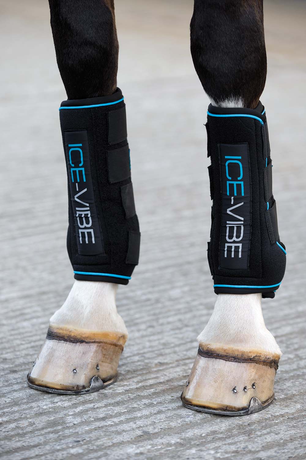 Ice Vibe Therapy Boot for Horses, 2 Pack - Healthber