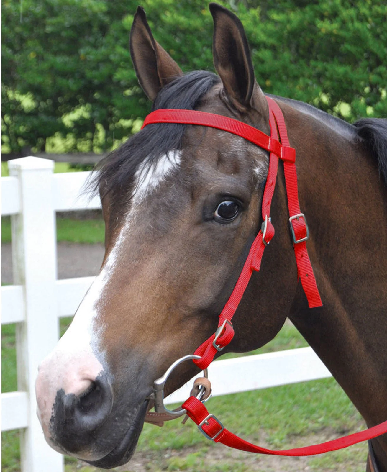 Western Nylon Horse Bridle with 6' Split Reins Set - Healthber