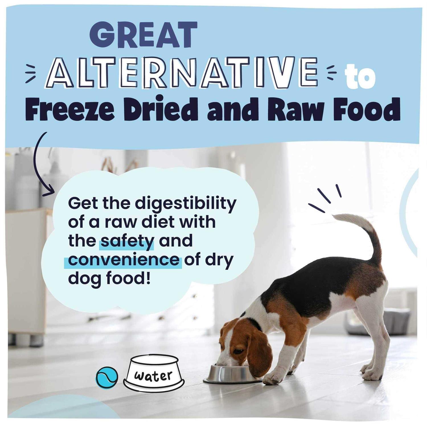 Pawstruck Recipe Grain-Free Air Dried Dog Food - Healthber