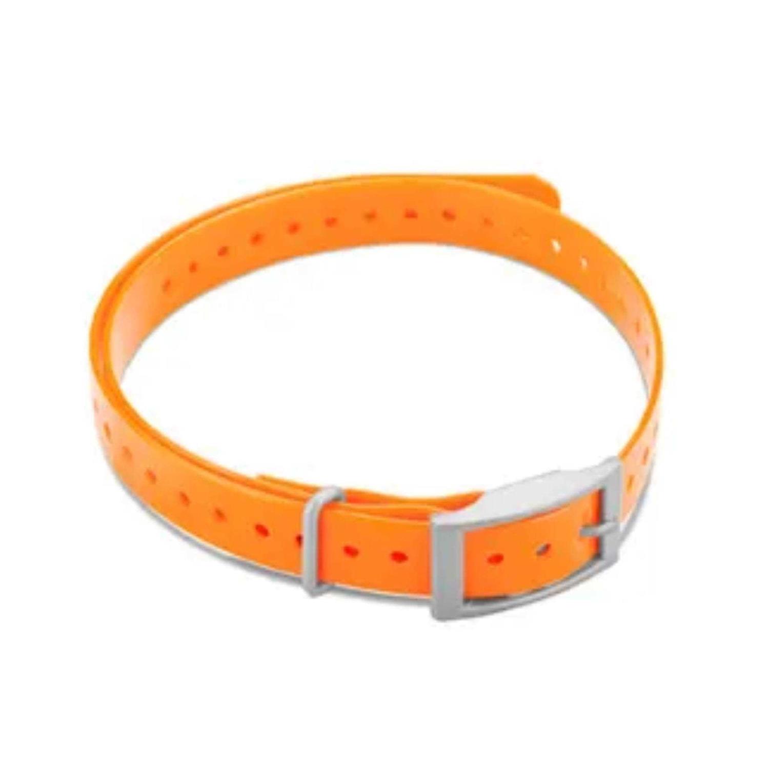 Garmin Collar Strap - Healthber