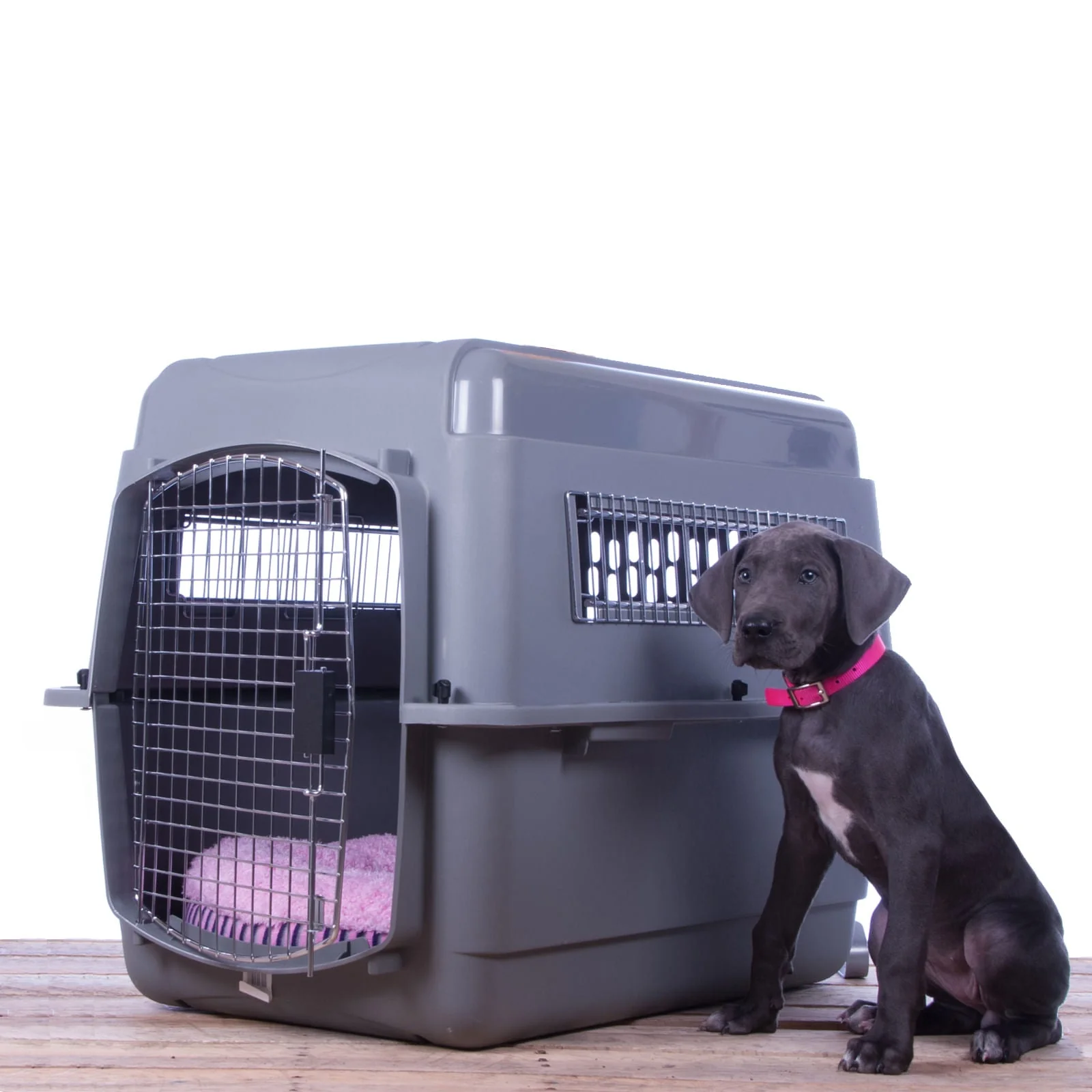 Sky Kennel Travel Pet Kennel with Food & Water Bowls Included - Healthber