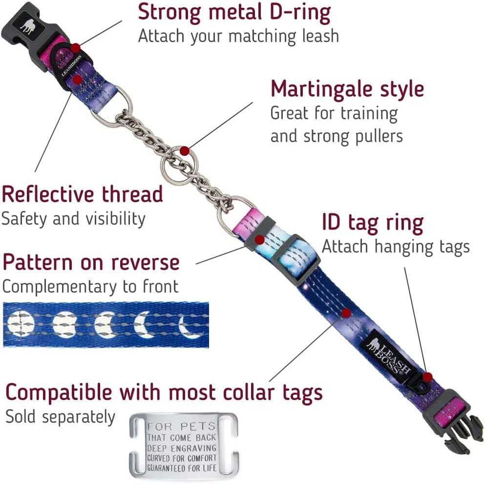 Leashboss Patterned Reflective Chain Martingale Dog collar - Healthber