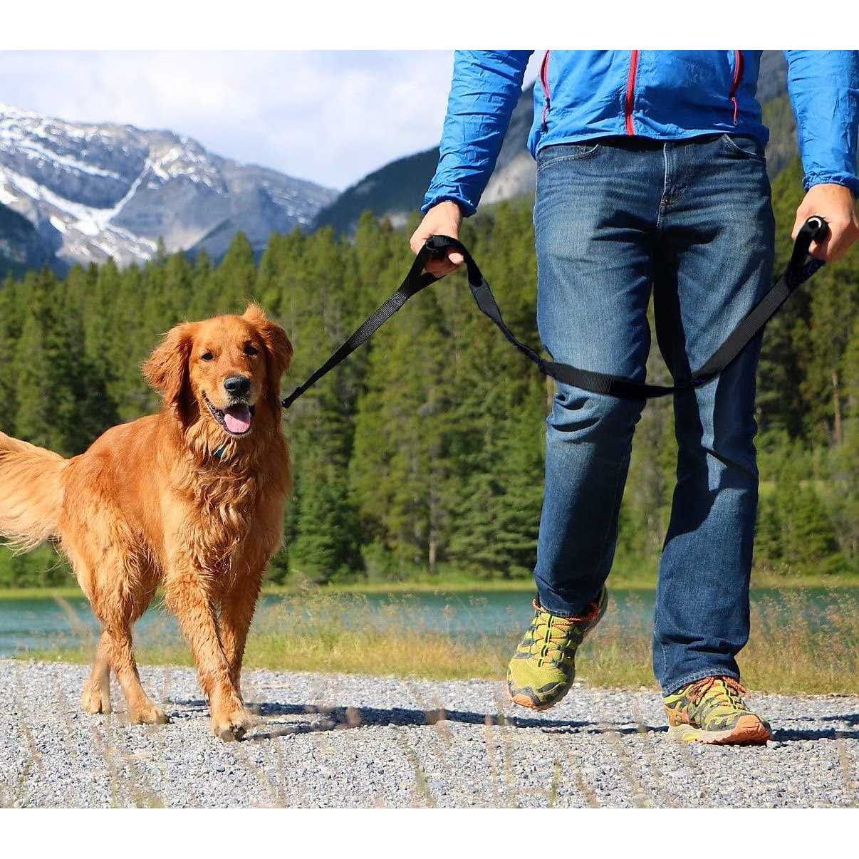 Leashboss Heavy Duty Dog Leash for Large Dogs Double Handle Training Lead for Walking Dogs - Healthber