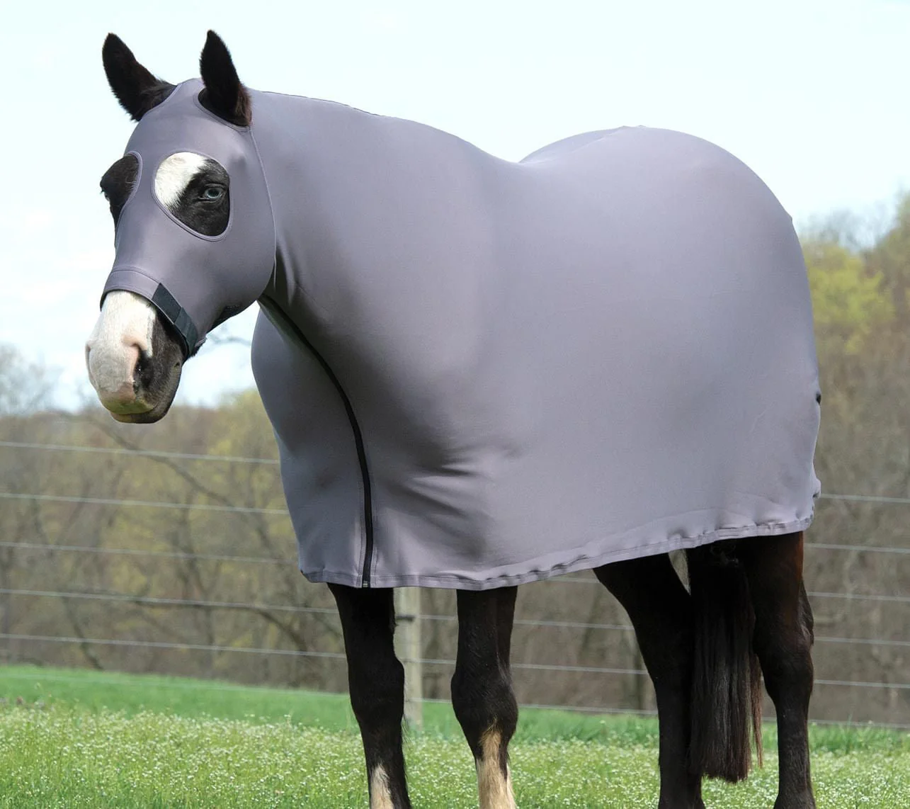 Coolcore Lycra Cooling Sheet for Horses w/ UV Protection - Healthber