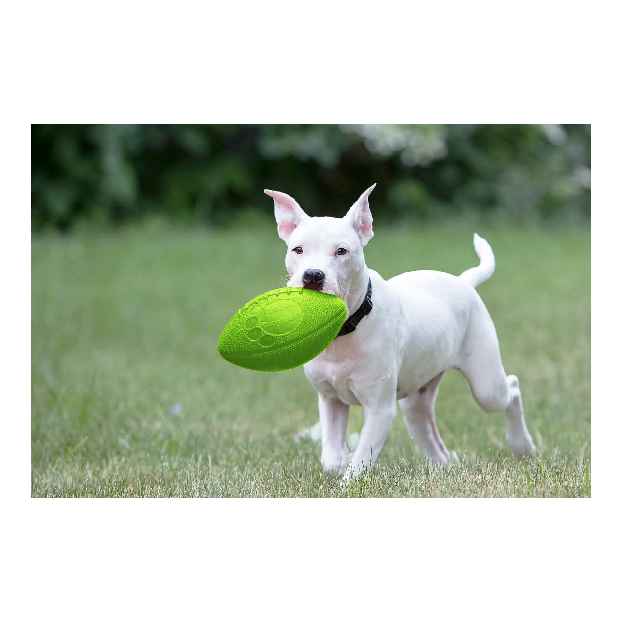 Jolly Football, 8