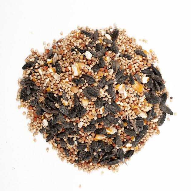 Wagner’s Classic Wild Bird Food - Healthber