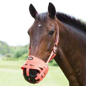 Tough 1 Easy Breathe Poly Grazing Muzzle - Healthber