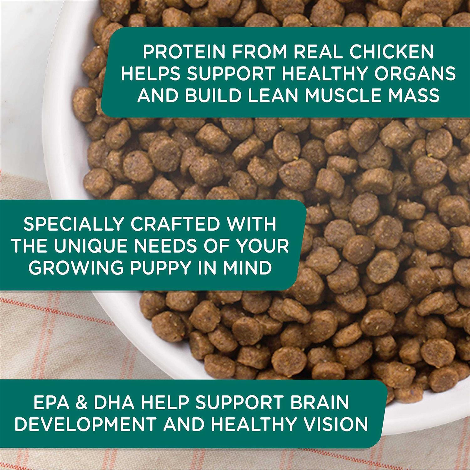 Rachael Ray Nutrish Bright Puppy Dry Dog Food Real Chicken & Brown Rice Recipe - Healthber