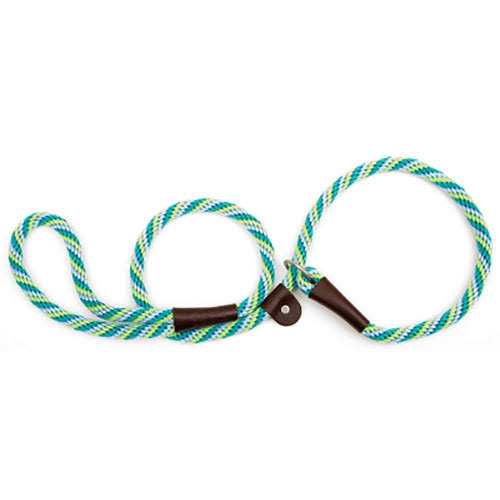 Mendota Slip Lead - Healthber