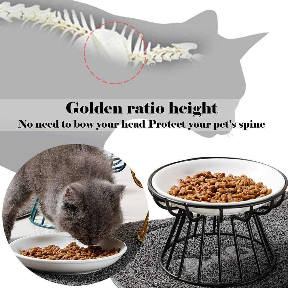 Wellbro Cat Bowls, Elevated Cat Bowl, Raised Ceramic Cat Dish with Metal Stand, Pet Water or Food Feeding Station for Indoor Cats - Healthber