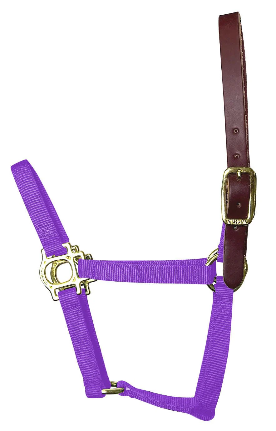 Valhoma Premium Breakaway Nylon Halter with Leather Crown - Healthber