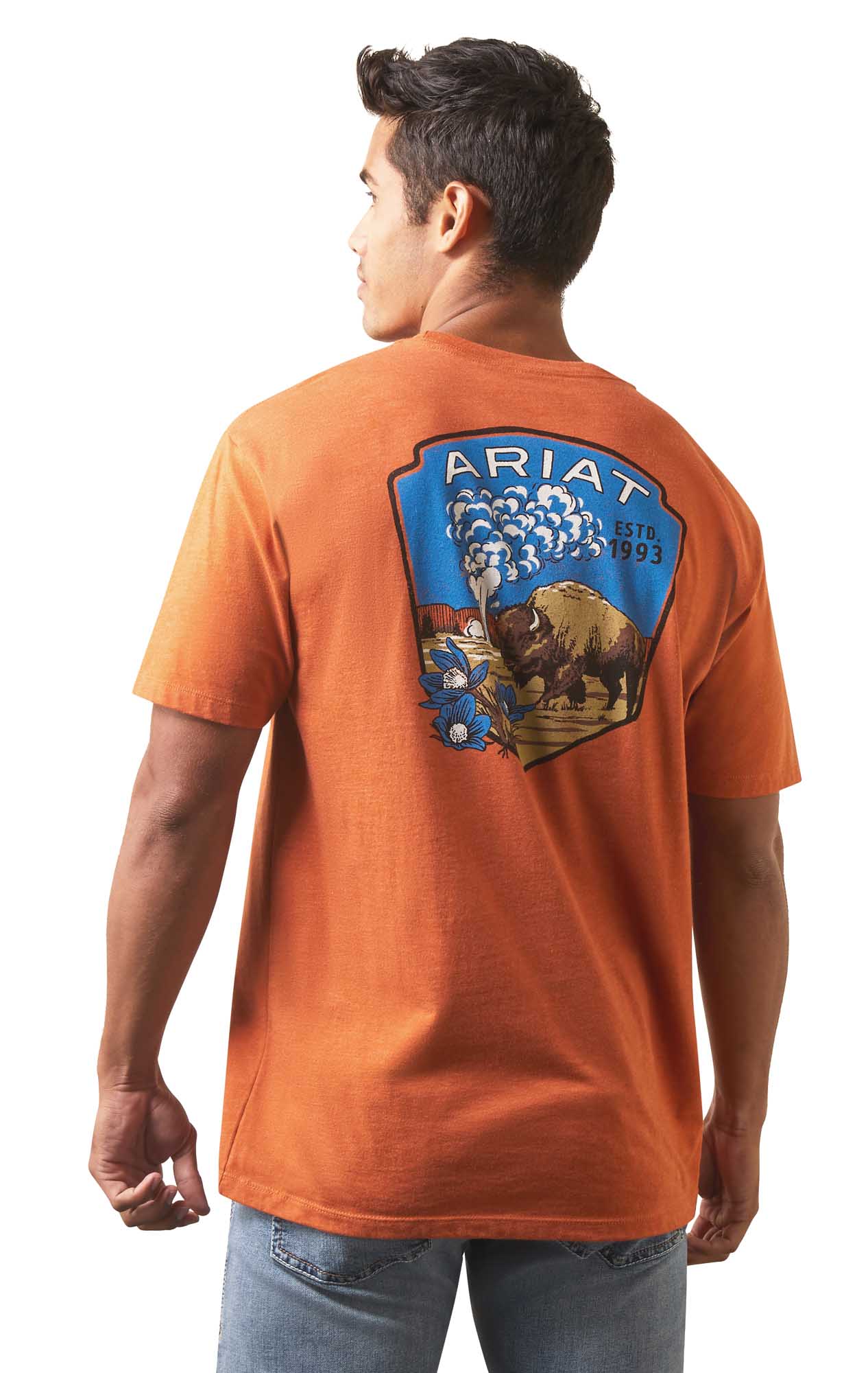 Ariat Men's Old Faithful Short Sleeve T-Shirt - Healthber