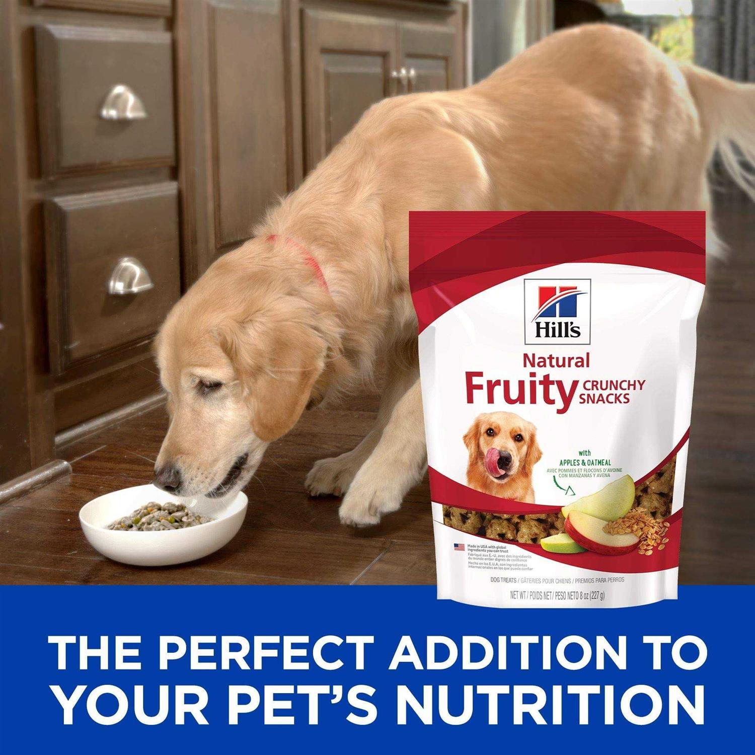 Hill’s Science Diet Fruity Snacks Oatmeal Dog Treats - Healthber