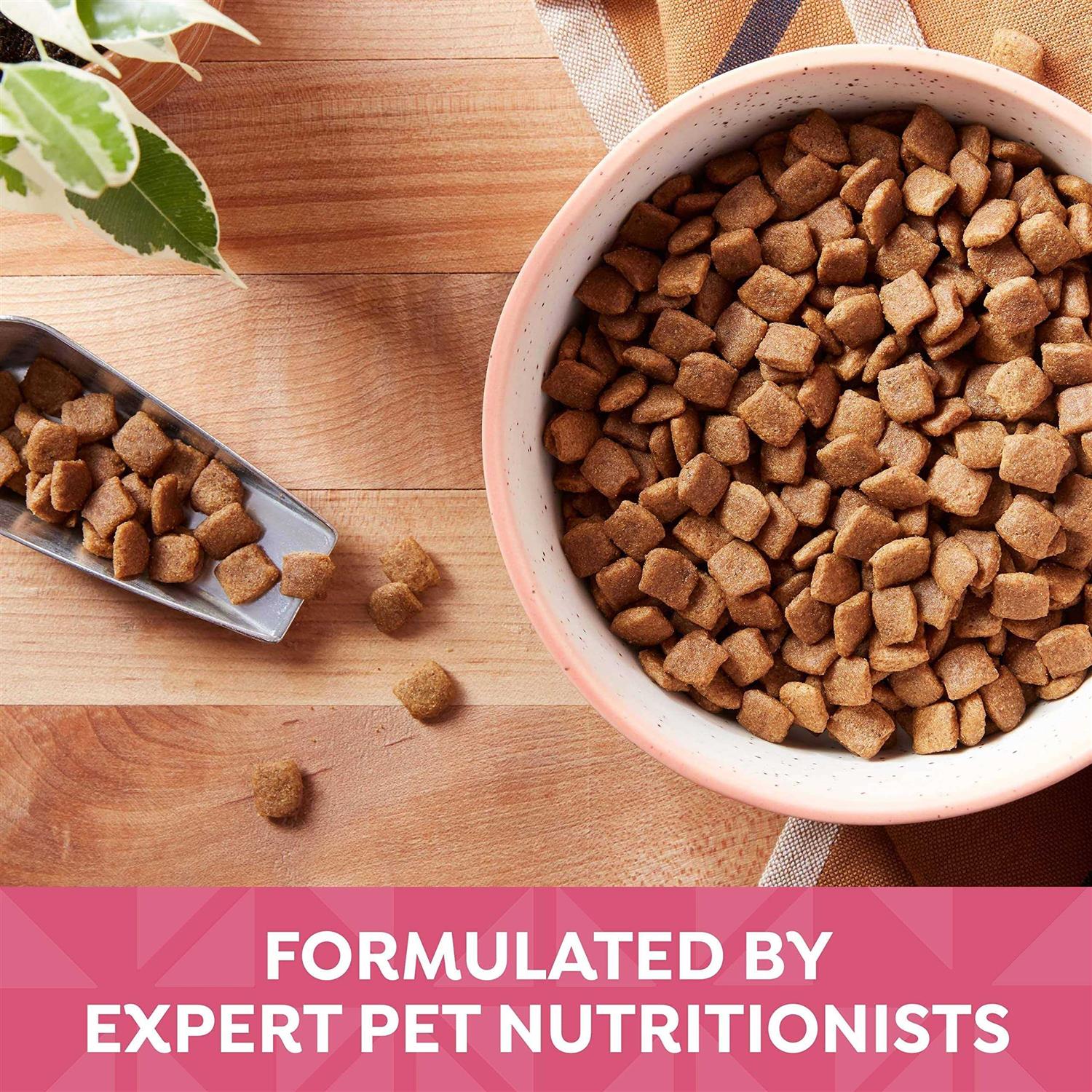 Nature’s Recipe Grain Free Dry Dog Food - Healthber