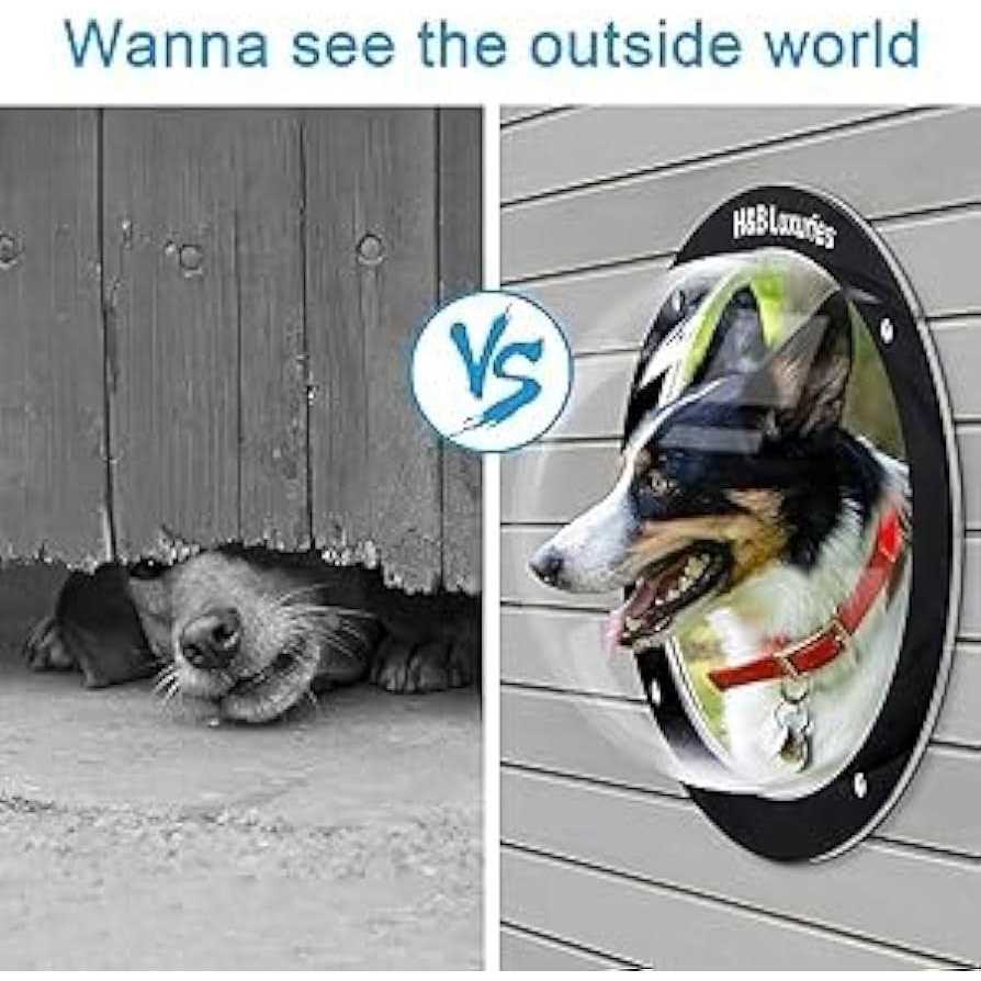 H&b Luxuries Durable Acrylic Dome Dog Window for Fence to View Outside for Satisfying Curious Pets - Healthber