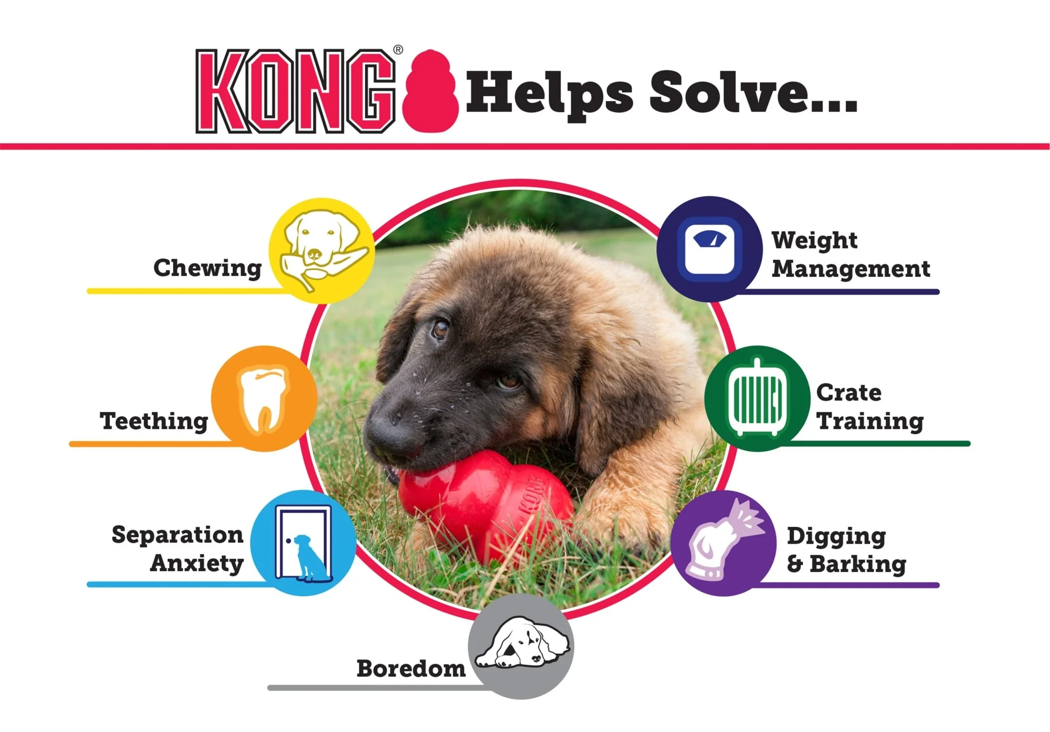 Puppy KONG - Healthber