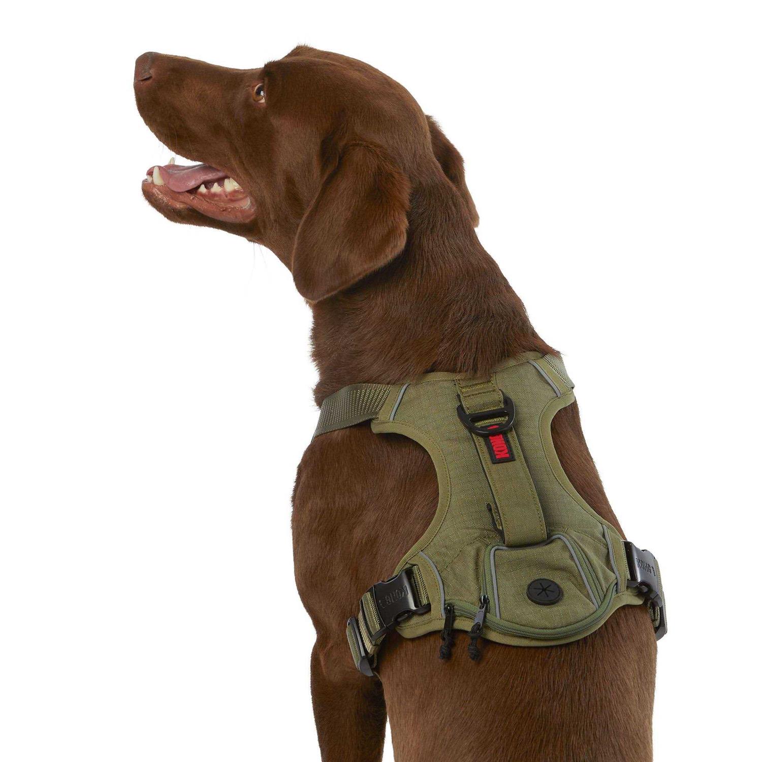 KONG Ultra Durable Waste Bag Harness - Healthber