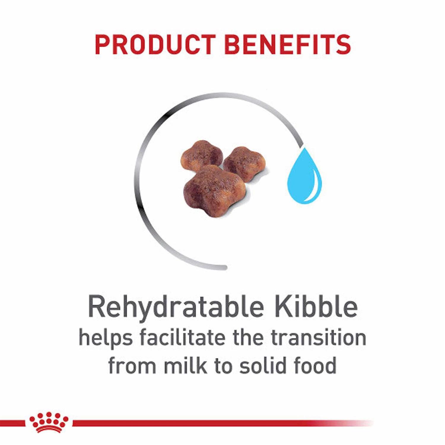 Royal Canin Mother & Baby Dry Cat Food - Healthber