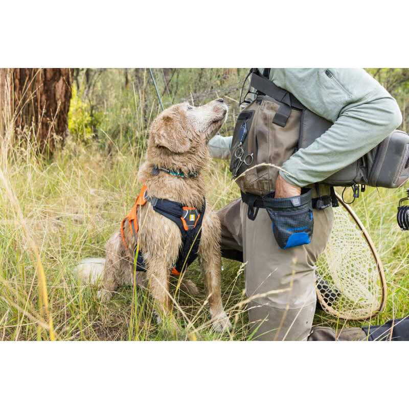 Ruffwear Treat Trader - Healthber