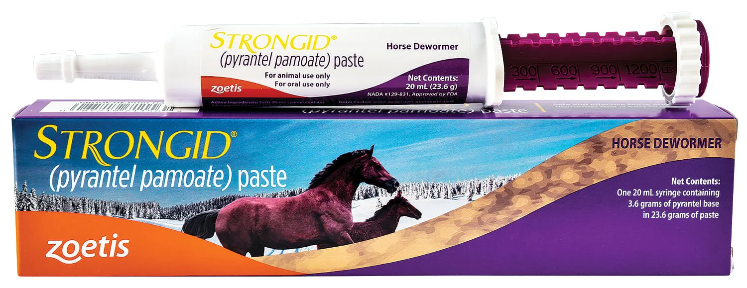 Strongid (pyrantel pamoate) Horse Dewormer - Healthber