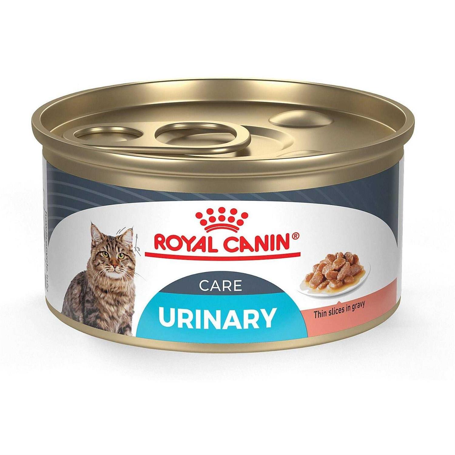 Royal Canin Feline Care Nutrition Urinary Care Thin Slices in Gravy Wet Cat Food - Healthber