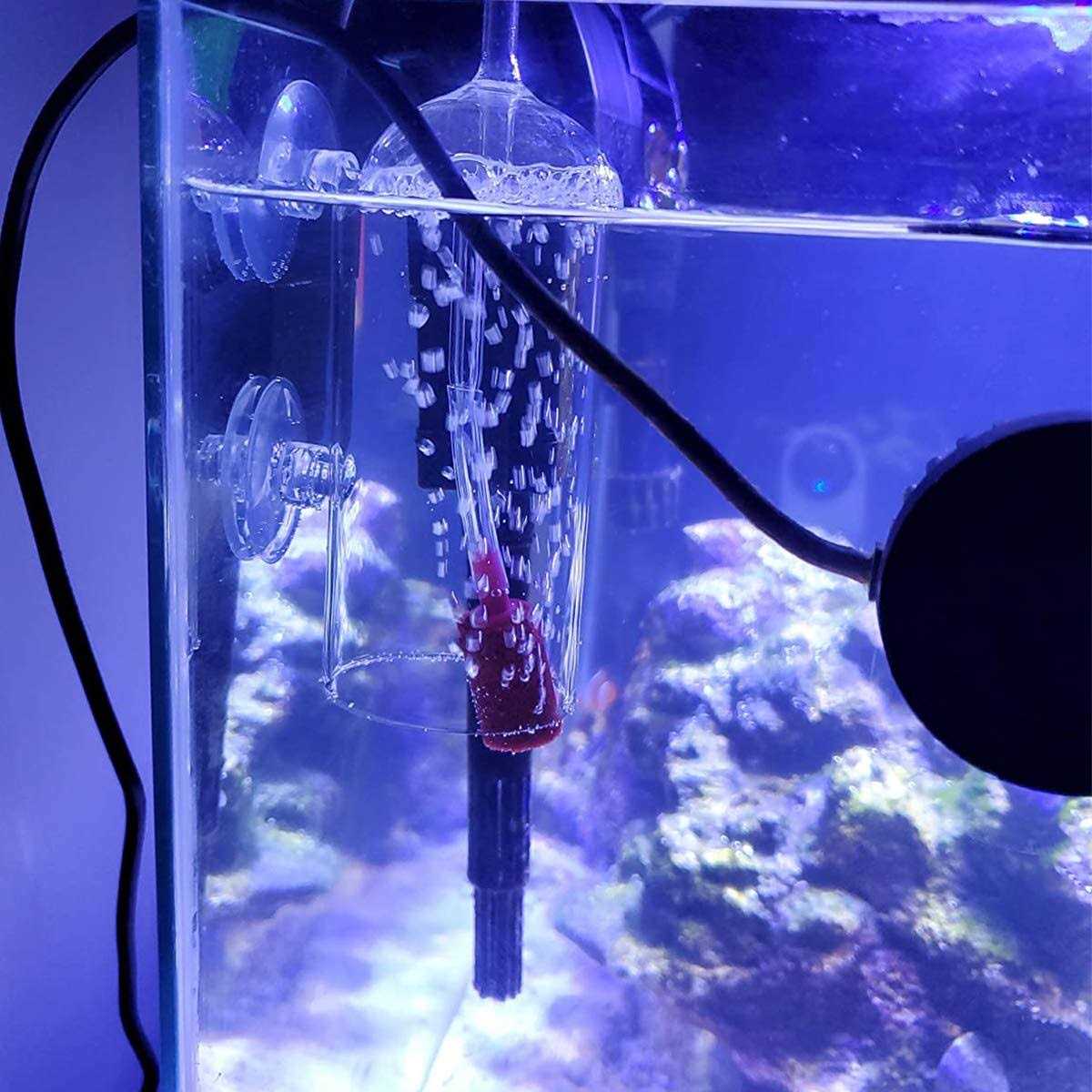 Ailindany Aquarium Air Oxygen Bubbler Glass Cup with Water Tube - Healthber