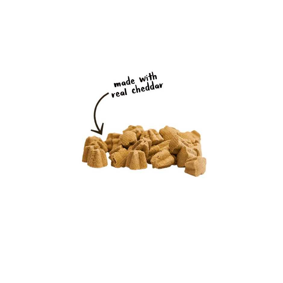 Cloud Star Crunchy Tricky Trainers Dog Treats - Healthber