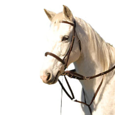 German Olympic Running Martingale for Horses with Reins - Healthber